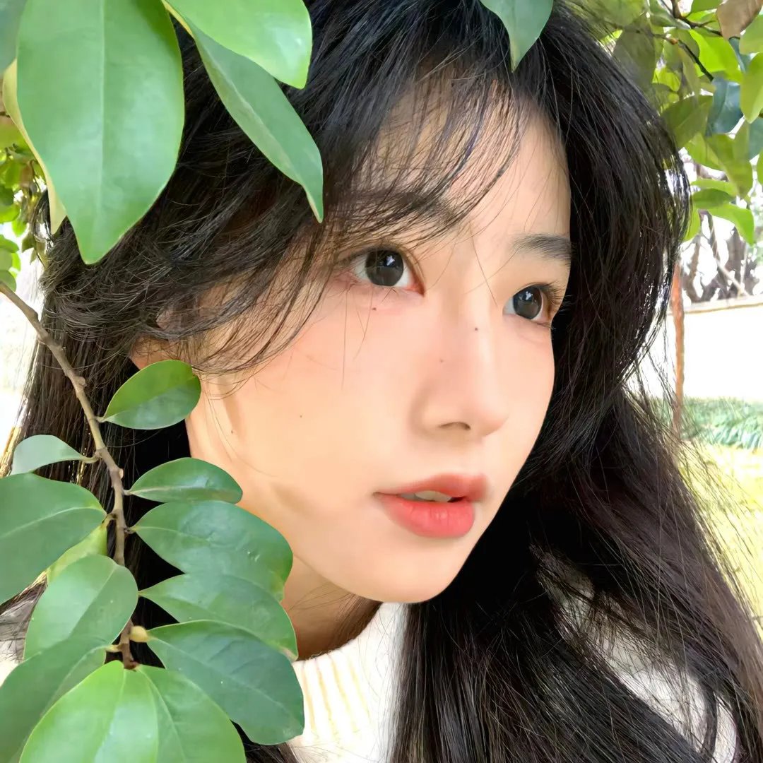 沉默的阴谋